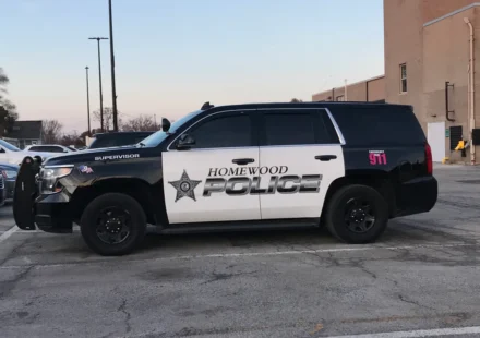 Bianca Davis Homewood IL Shooting Death, Obituary - Woman shot and killed in Homewood